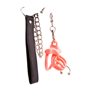 Prince Albert Optimized Chastity - Oxy-shop