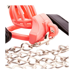 Prince Albert Optimized Chastity - Oxy-shop