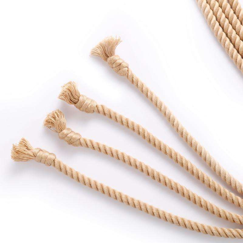 Ship Rope Whip Is the Shibari Whip Ultimate Choice for Sub Punishment?