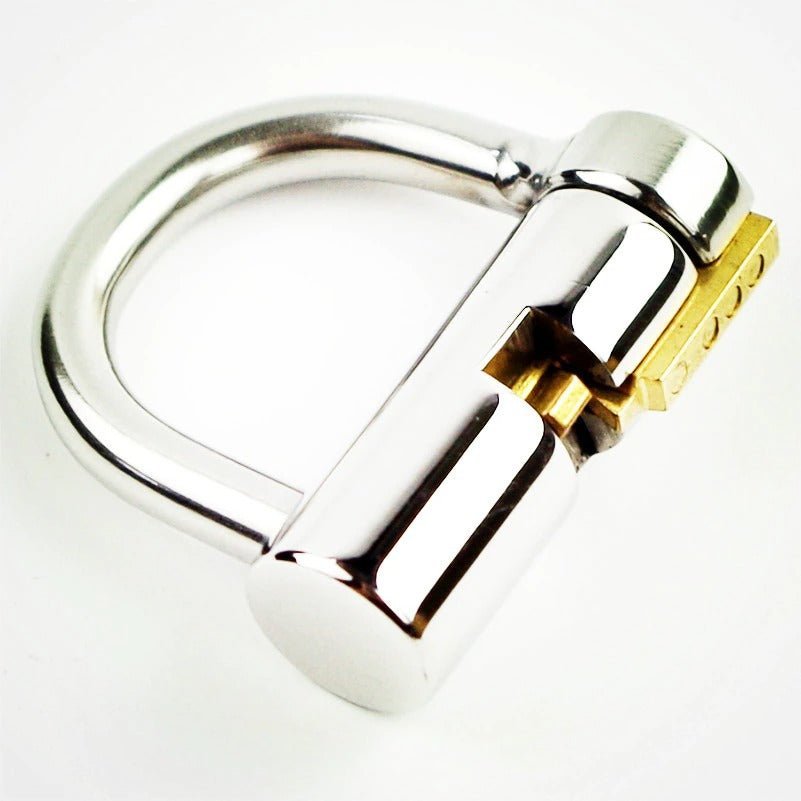 Stainless Steel PA Lock - Prince Albert Locked chastity Piercing - Oxy-shop