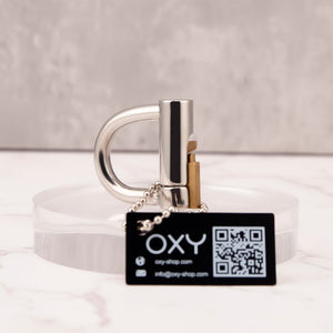 Stainless Steel PA Lock - Prince Albert Locked chastity Piercing - Oxy-shop