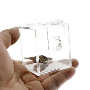 The Chastity Key Safe - Games & Keyholding Service - Oxy-shop