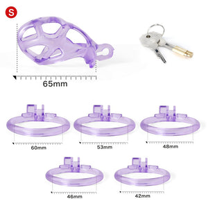The Guardian - See-through - Ice Blue & Purple - Oxy-shop