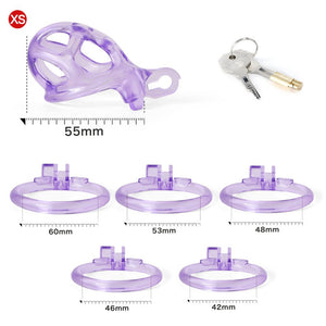 The Guardian - See-through - Ice Blue & Purple - Oxy-shop