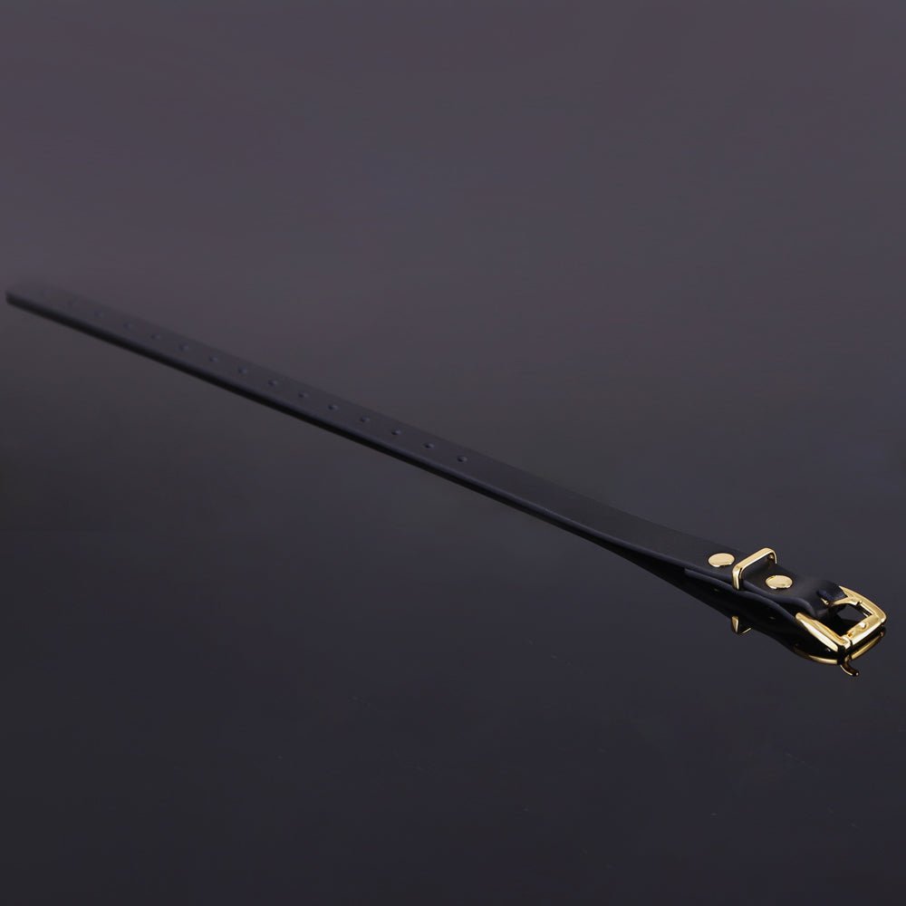 The most Versatile Bondage Kit - High Quality Polished Steel - Oxy-shop