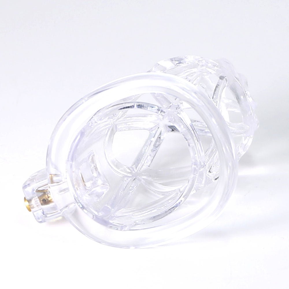The Scourge of Servitude - Spiked Chastity Cage - Oxy-shop