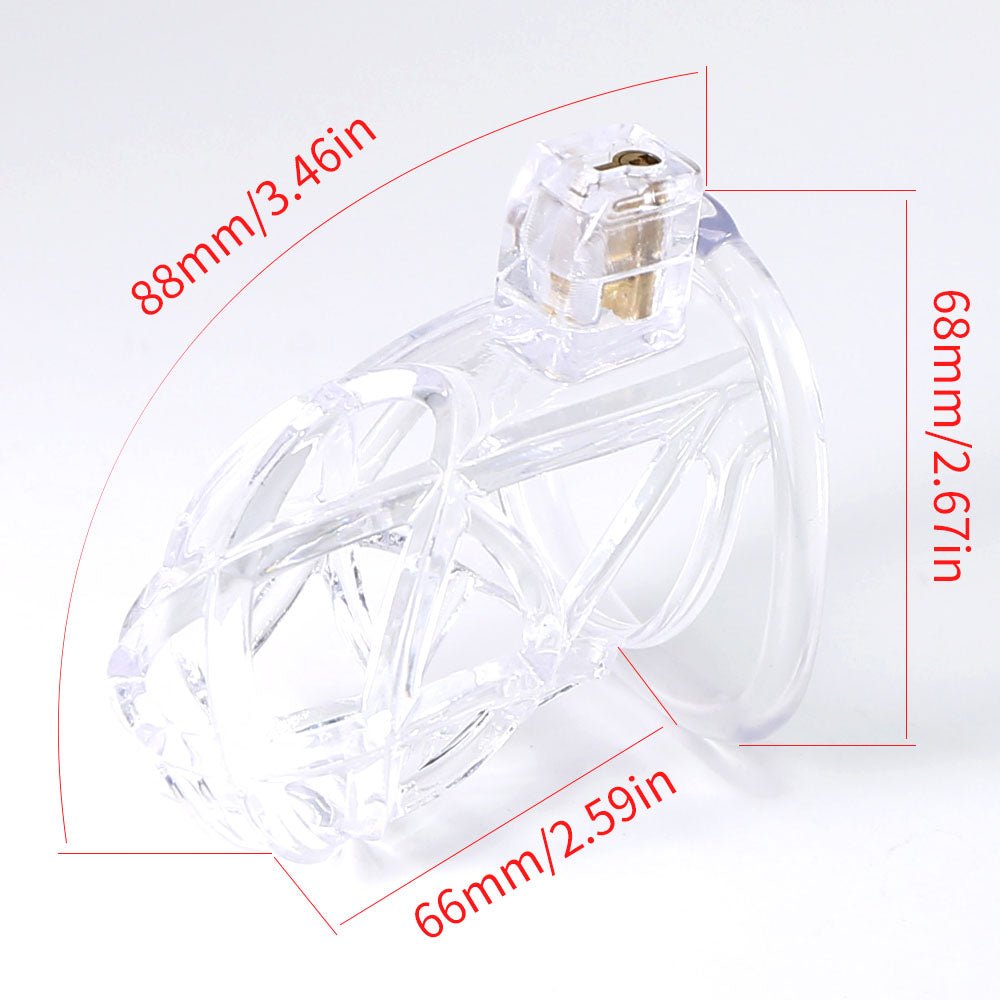 The Scourge of Servitude - Spiked Chastity Cage - Oxy-shop