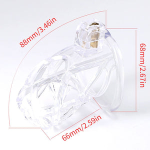 The Scourge of Servitude - Spiked Chastity Cage - Oxy-shop