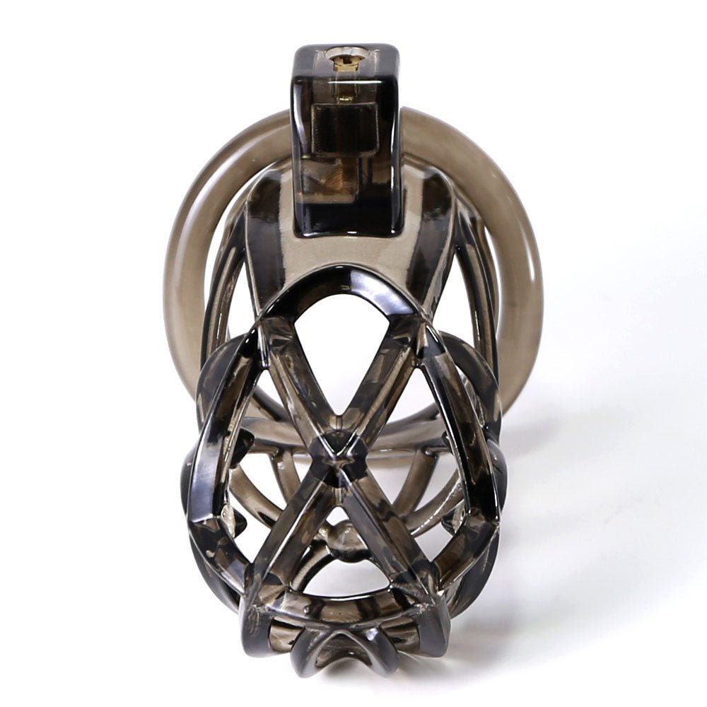 The Scourge of Servitude - Spiked Chastity Cage - Oxy-shop