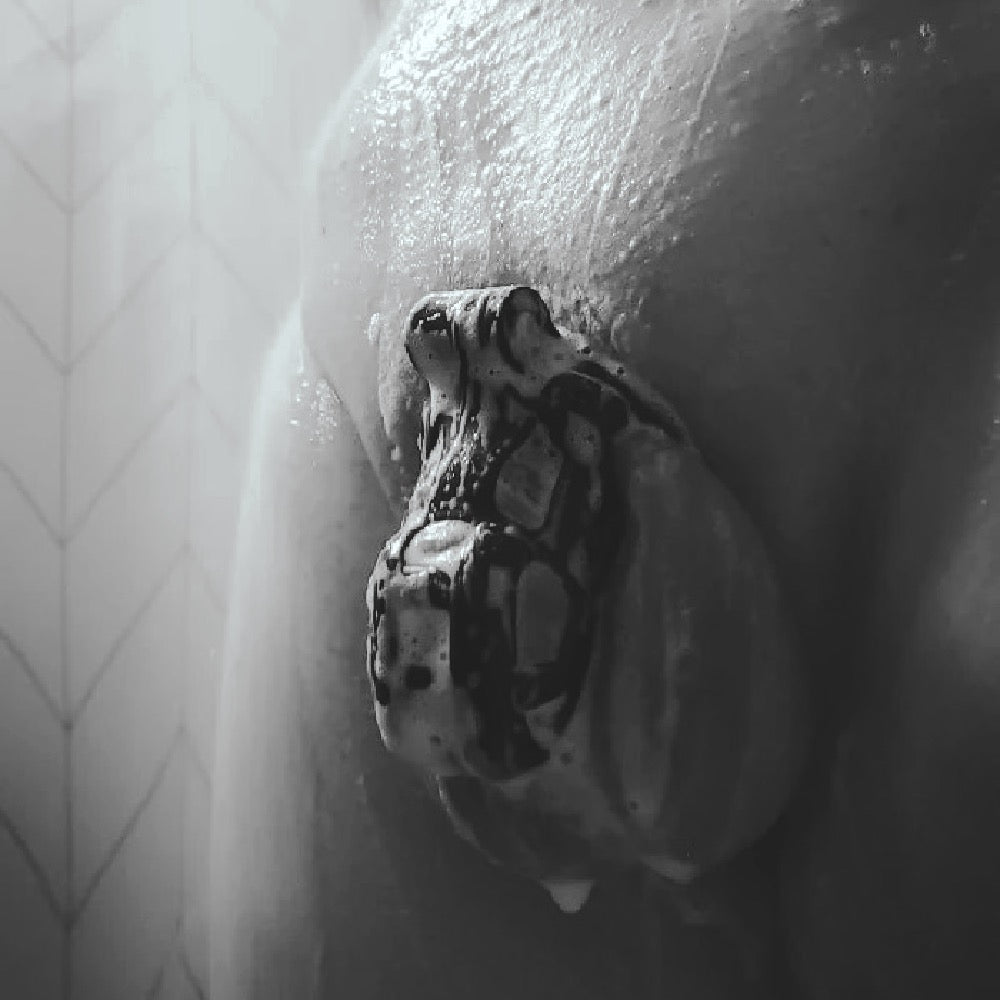 V2-Premium paint - The Guardian - Oxy-shop